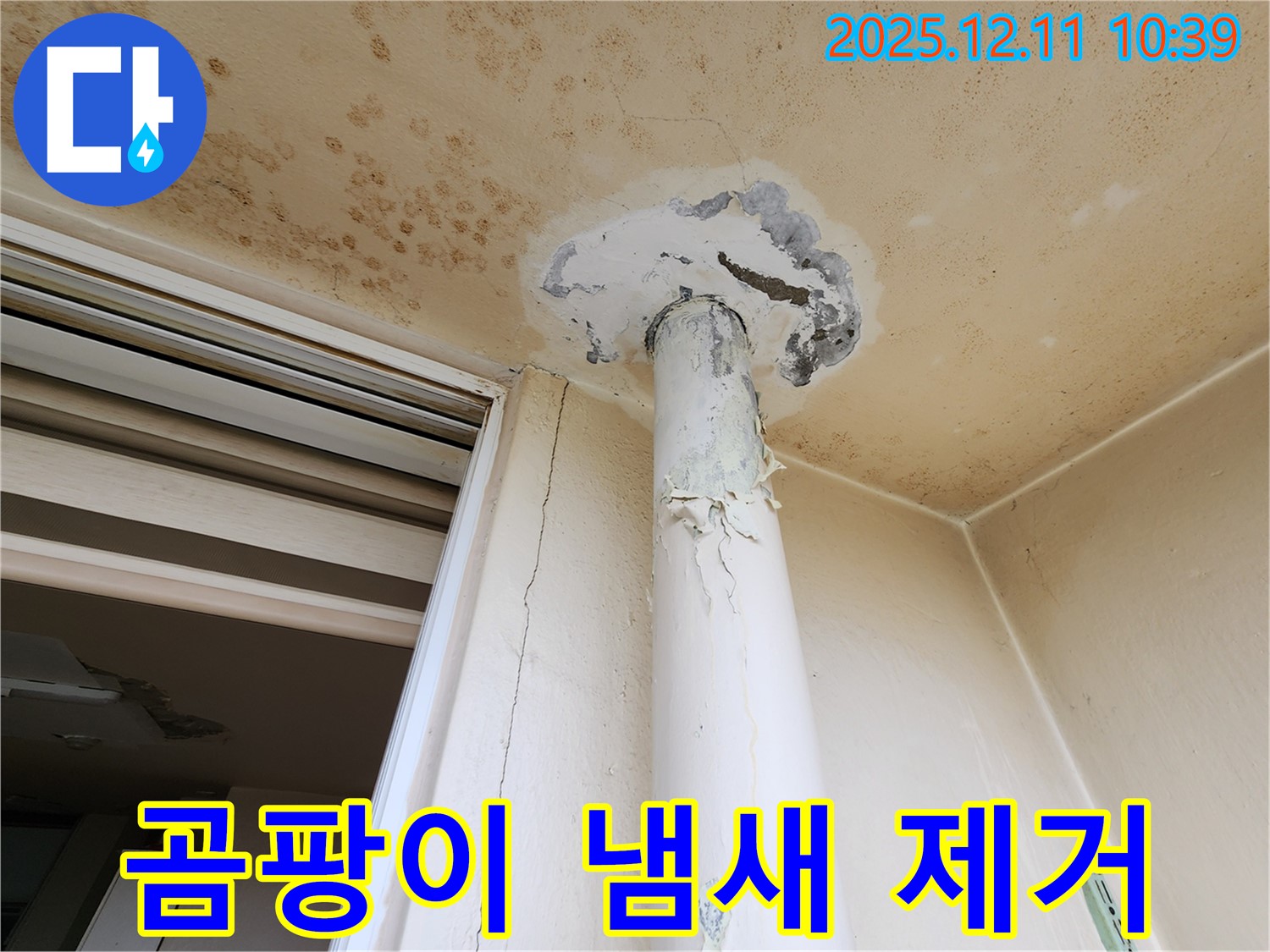 곰팡이 냄새 - 천장 누수 - 제거 시공