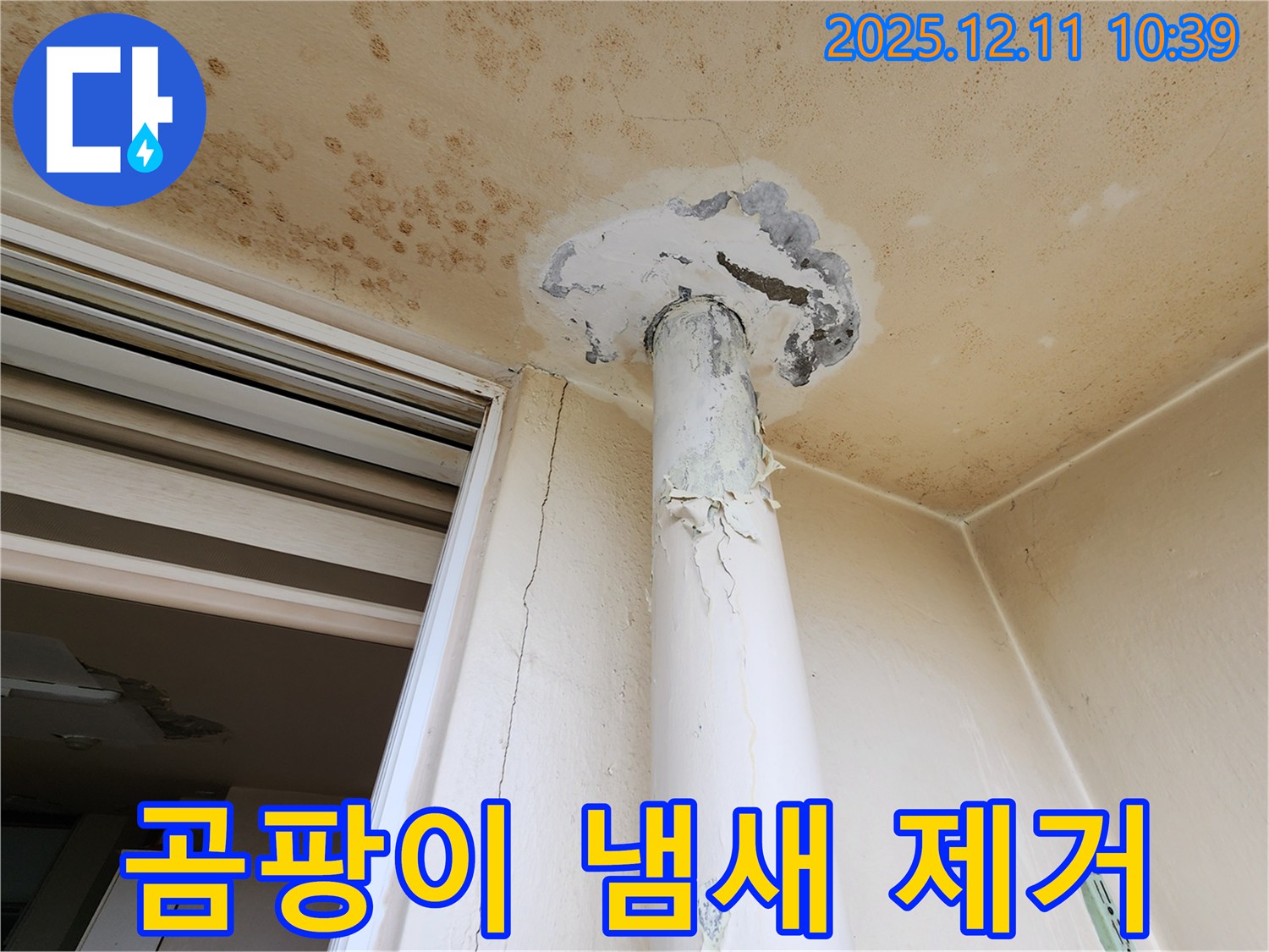 곰팡이 냄새 - 천장 누수 - 제거 시공