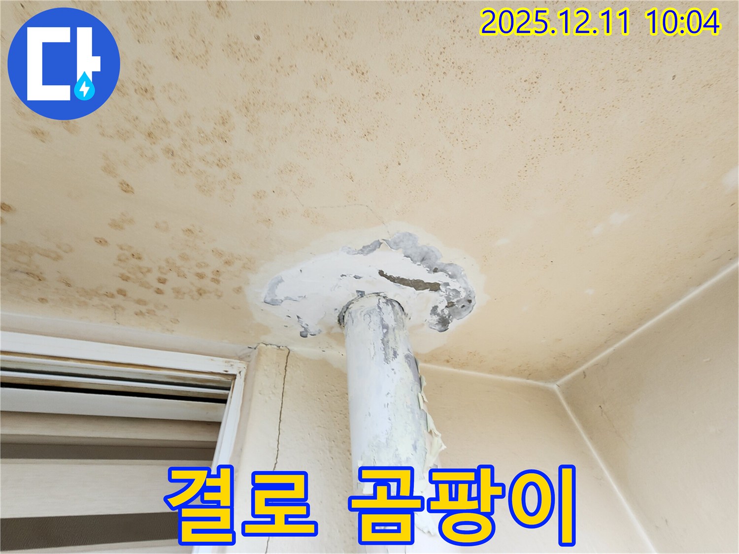 곰팡이 천장 - 겨울철 결로 때문일까요?