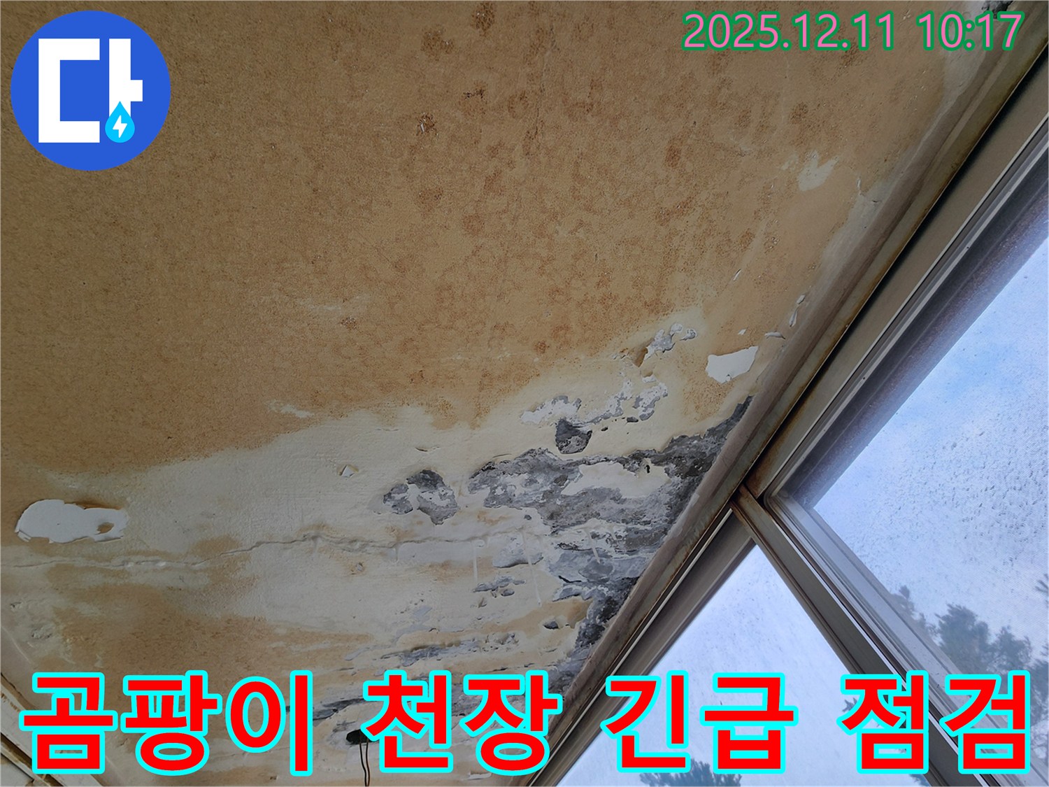 곰팡이 천장 - 긴급 점검 필요
