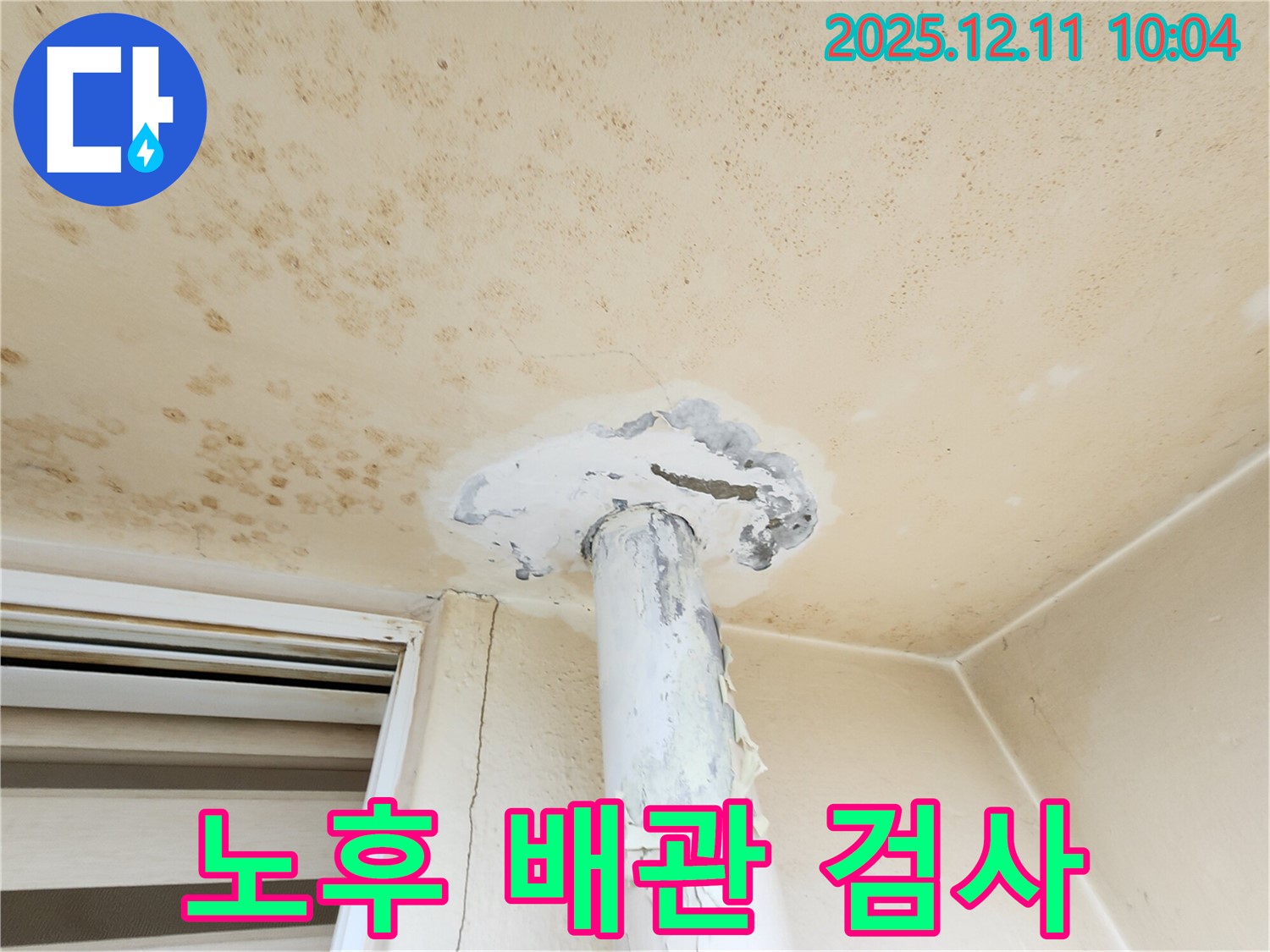 곰팡이 천장 - 노후 배관 문제? 정밀 검사 실시!