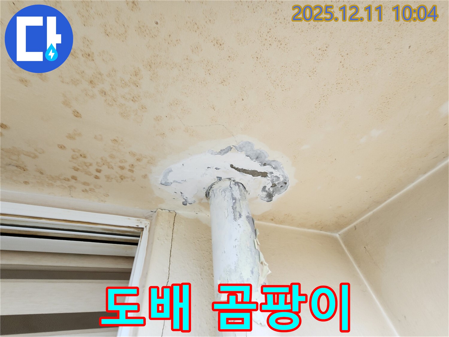 곰팡이 천장 - 도배 새로 하면 괜찮아질까요?