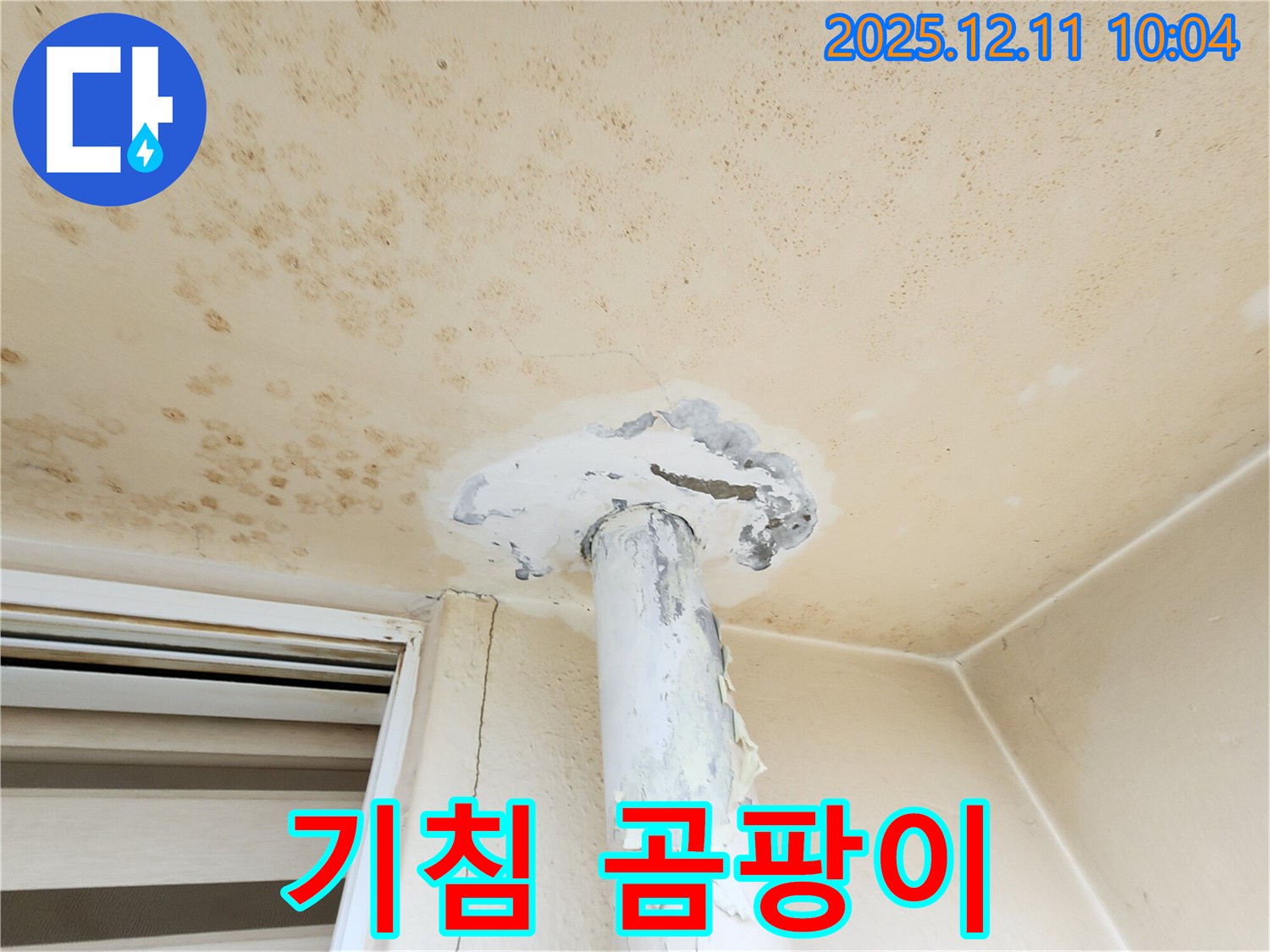 곰팡이 천장 - 밤마다 기침?! 건강에 적신호!