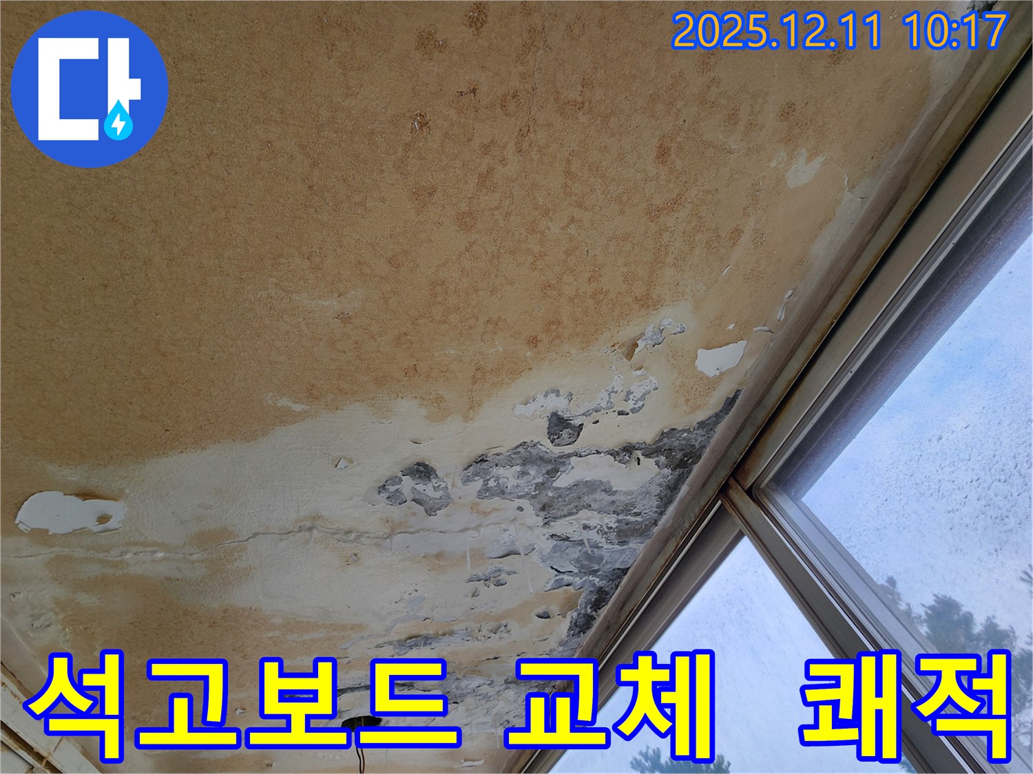 곰팡이 천장 - 석고보드 교체로 쾌적하게