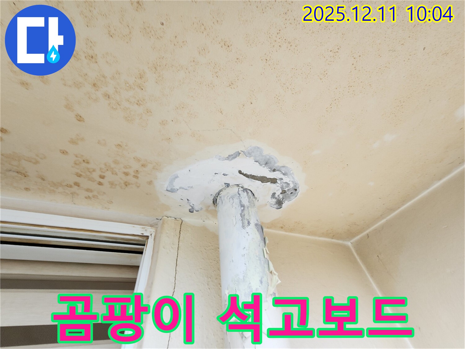 곰팡이 천장 - 석고보드 손상! 완벽 복구!