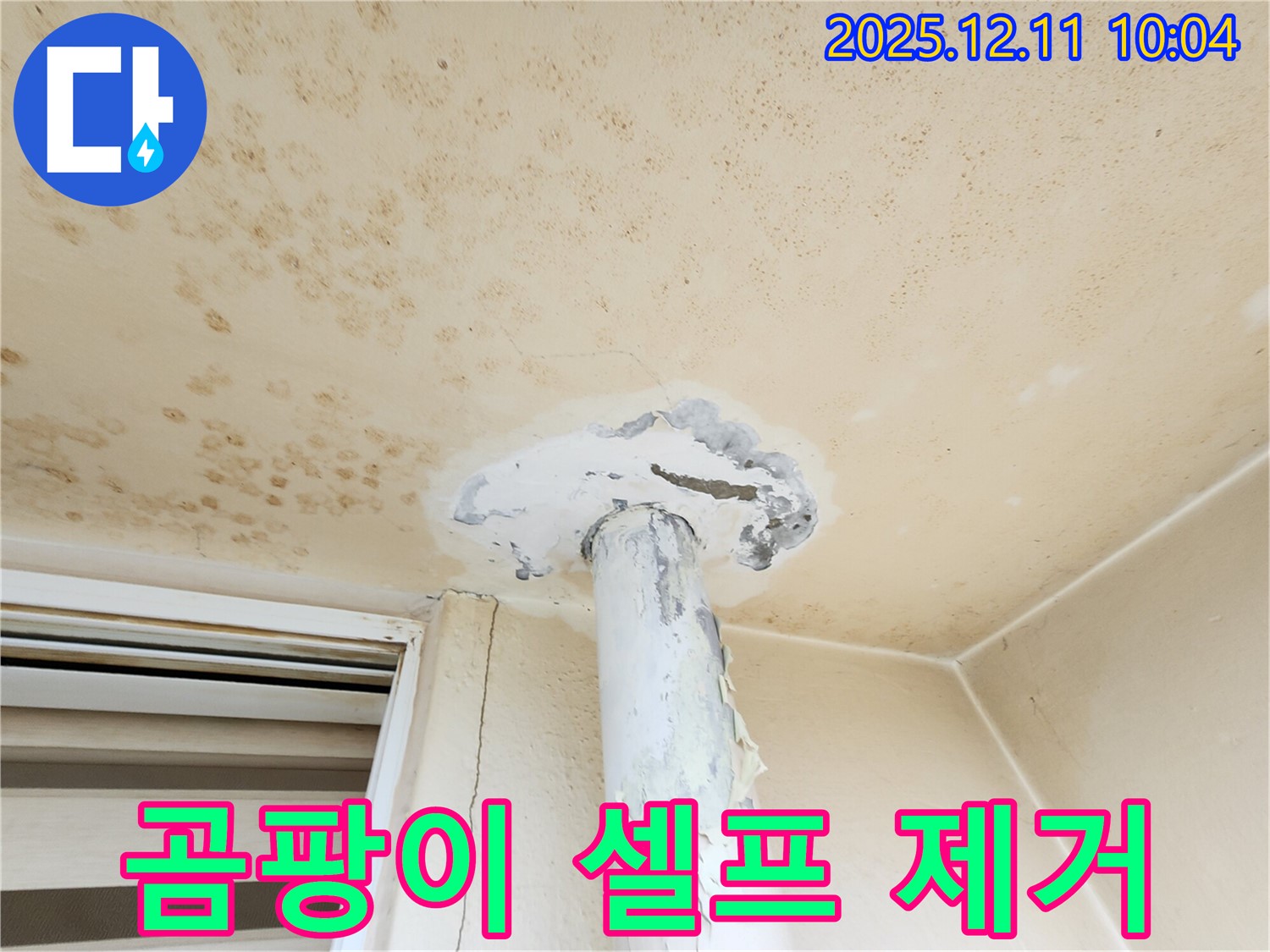 곰팡이 천장 - 셀프 제거하다 낭패?! 전문가의 손길!
