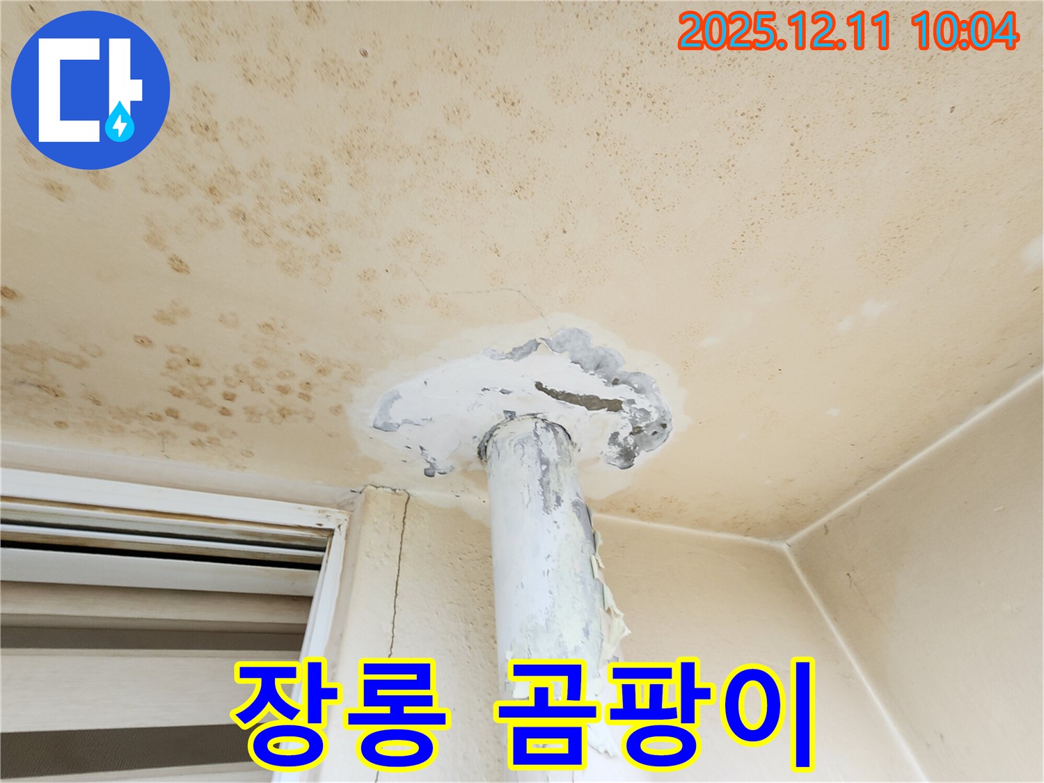 곰팡이 천장 - 장롱까지 곰팡이가?!