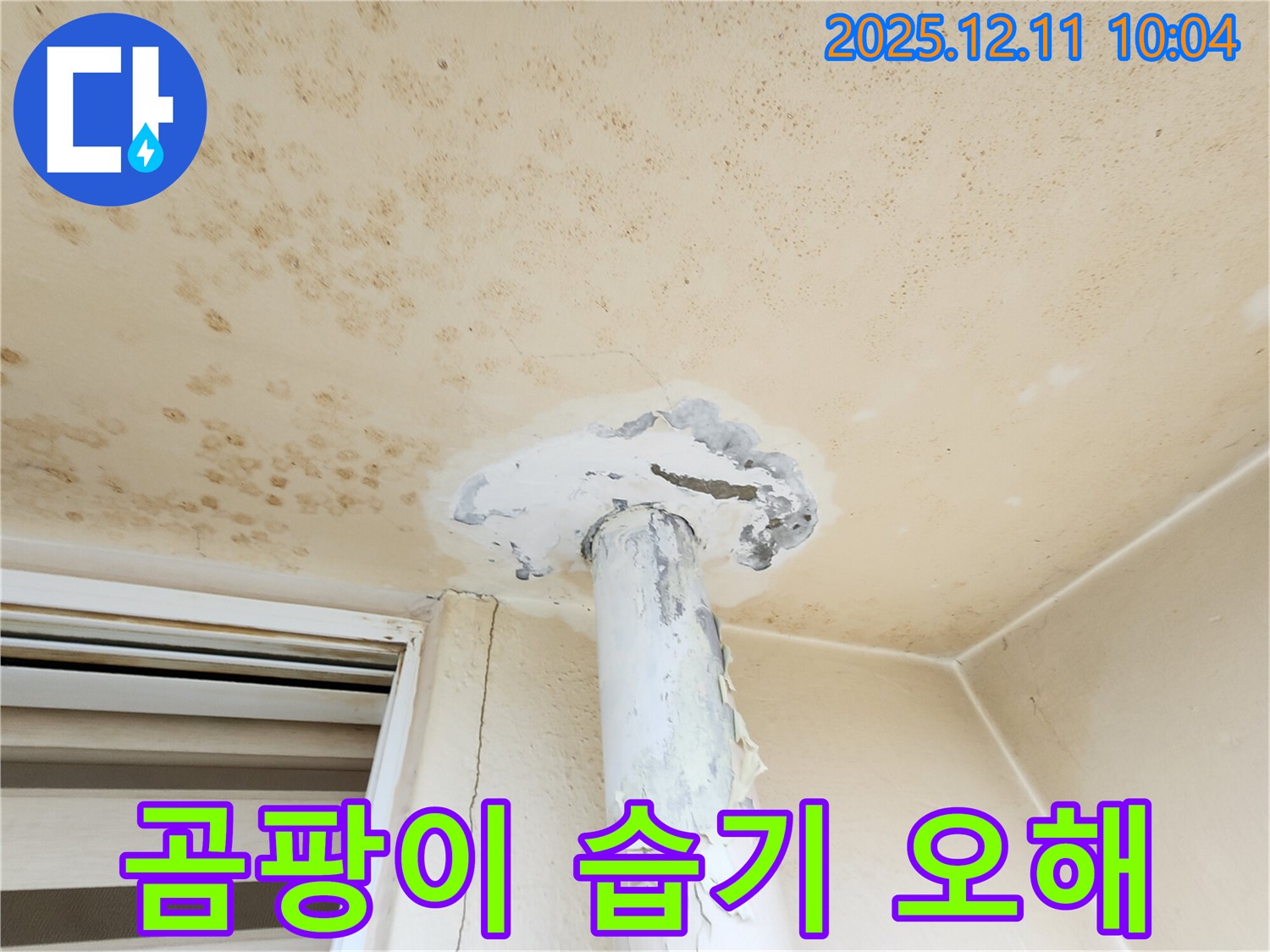 곰팡이 천장 - 장마철 습기 때문? 오해와 진실!