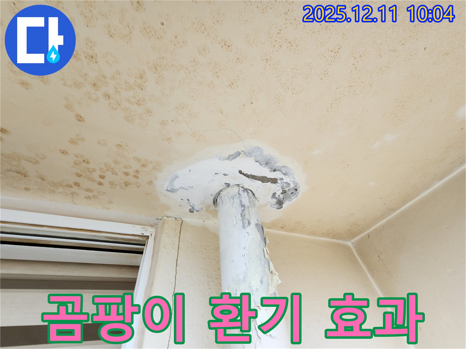 곰팡이 천장 - 환기만으로 해결될까요?