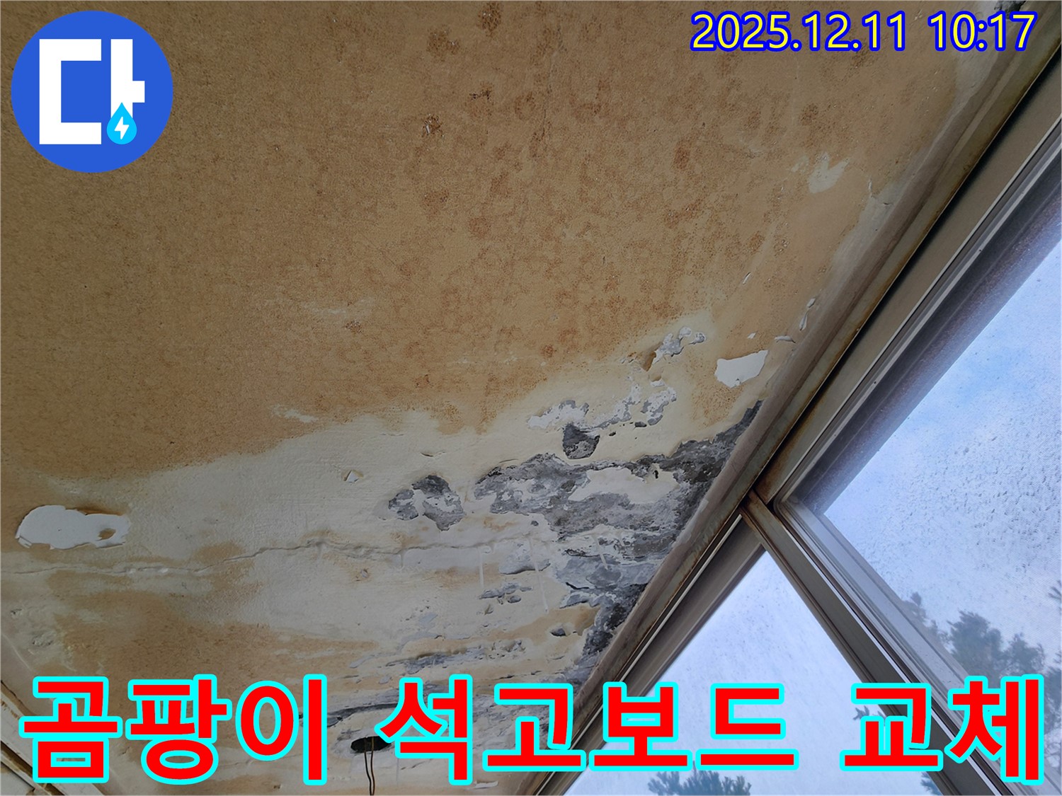 곰팡이 핀 천장 - 석고보드 교체 필수