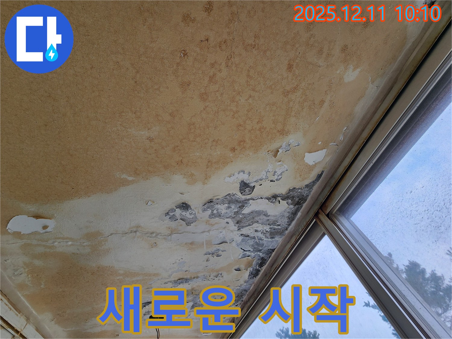낡고 손상된 천장 - 새로운 시작을 위한 준비