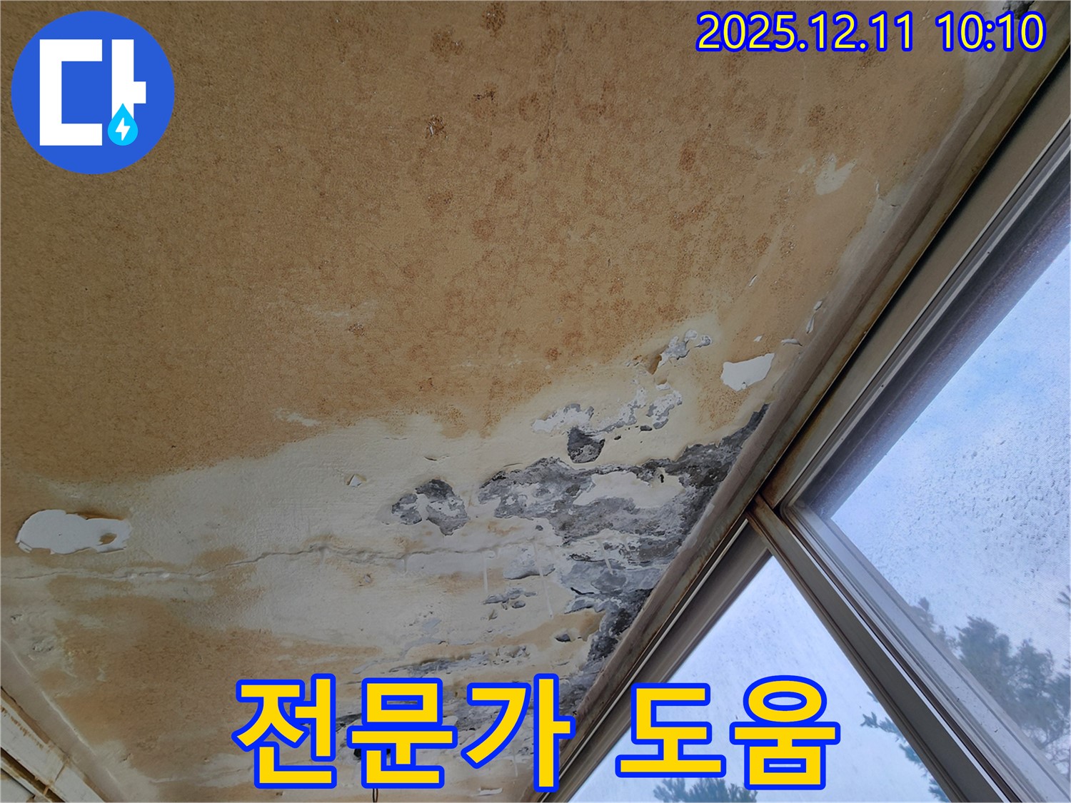 누수 고민 해결 - 전문가와 상담하세요
