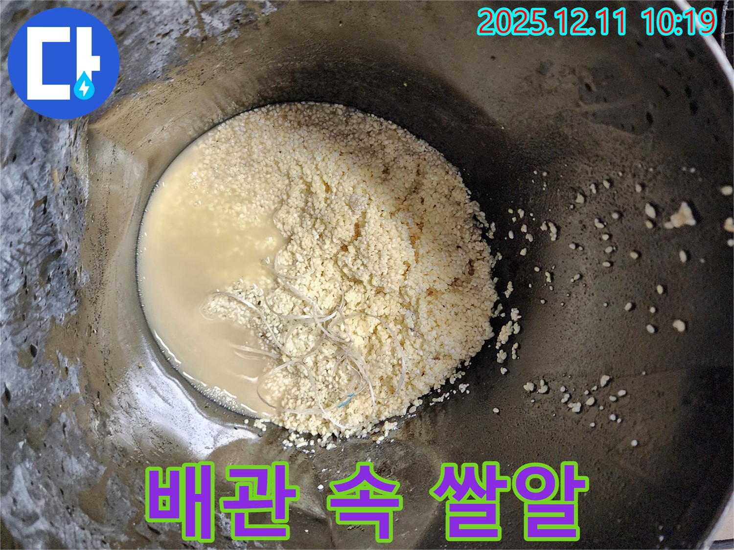 배관 속 쌀알 같은 이물질 - 정밀 분석 필요