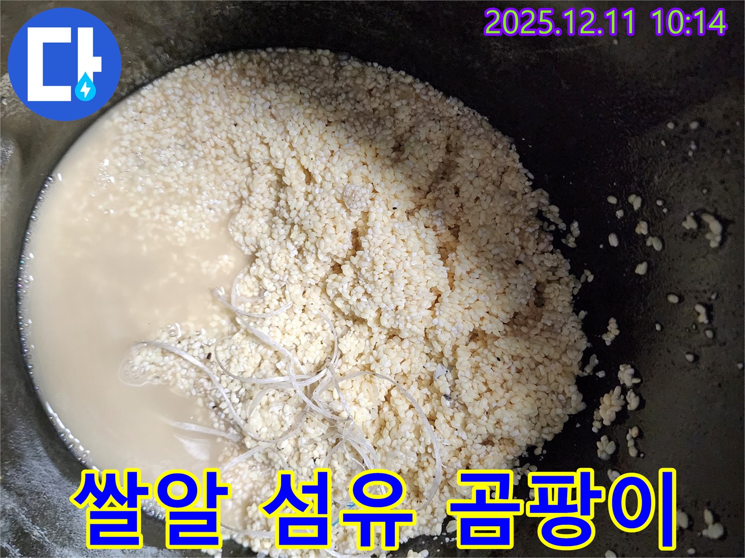 배관 속 쌀알 - 섬유 - 곰팡이 - 누수 유발