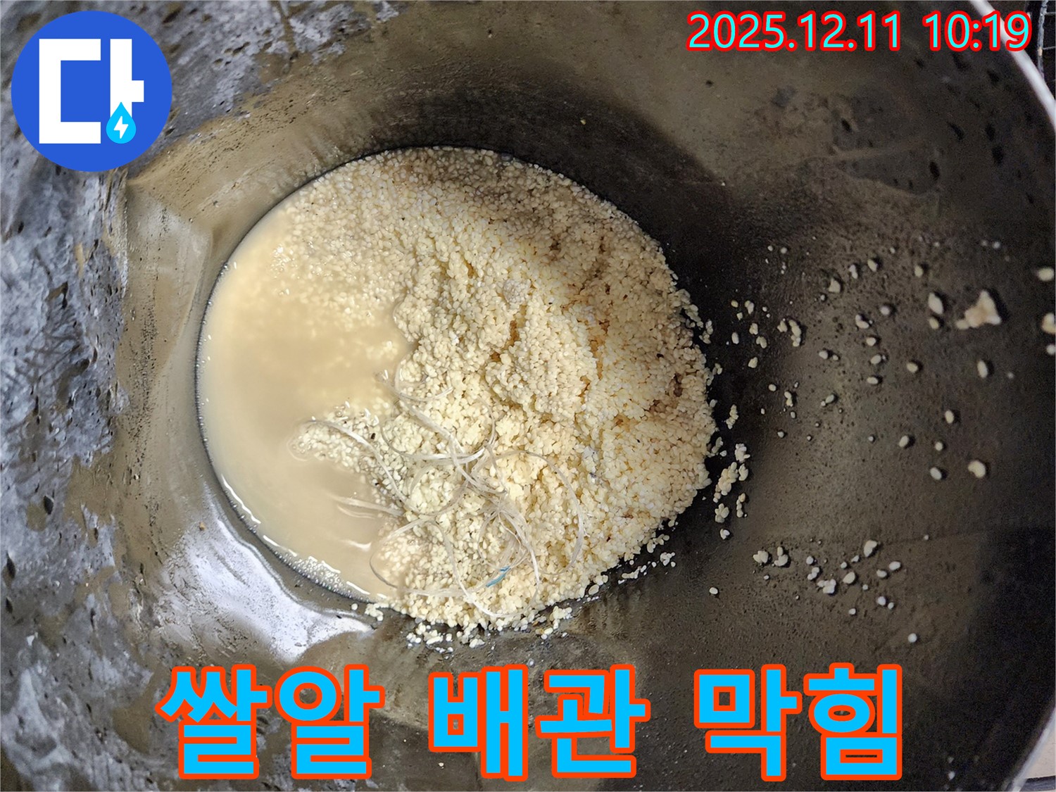 배관 속 쌀알 이물질 - 배관 막힘 유발