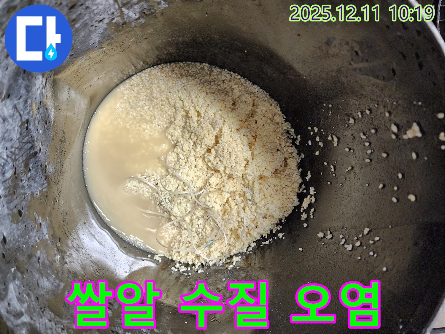 배관 속 쌀알 이물질 - 수질 오염 가능성