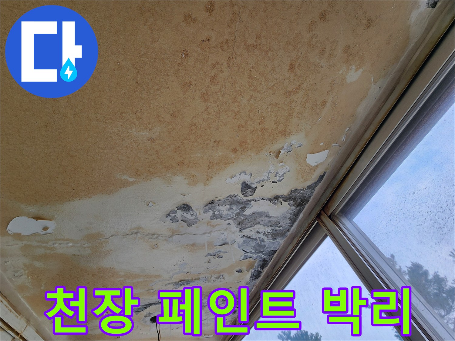 베란다 천장의 곰팡이와 벗겨진 페인트층