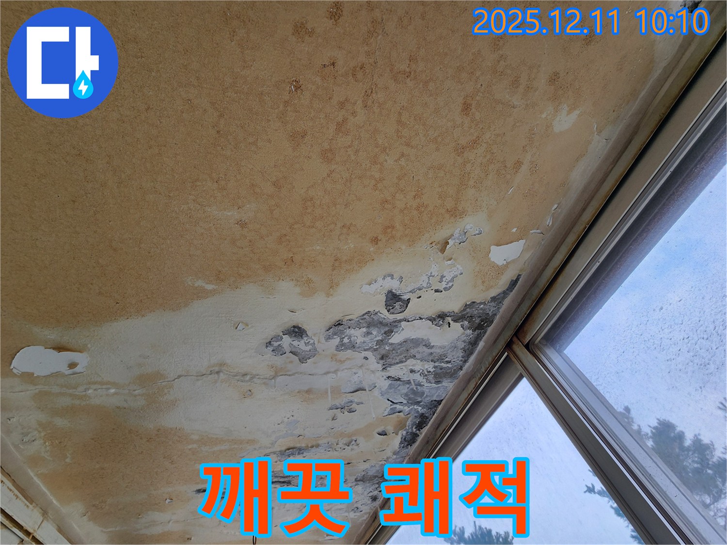 얼룩덜룩한 천장 - 깨끗하고 쾌적하게