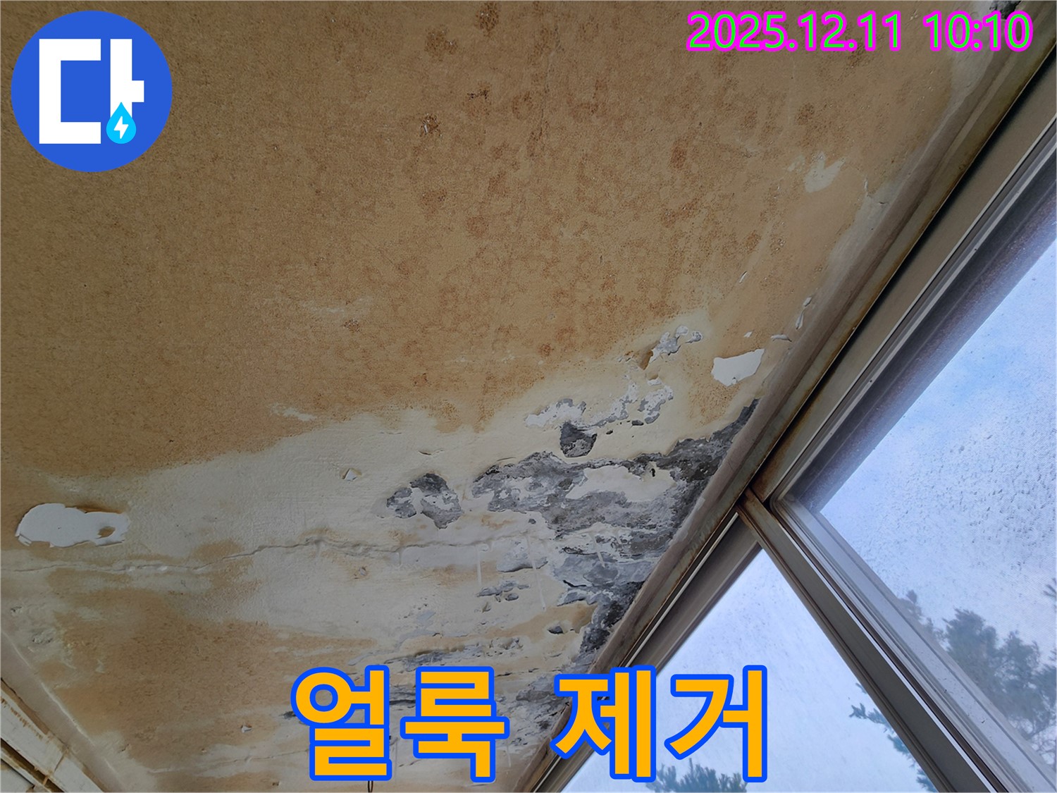 얼룩덜룩한 천장 - 누수로 인한 오염