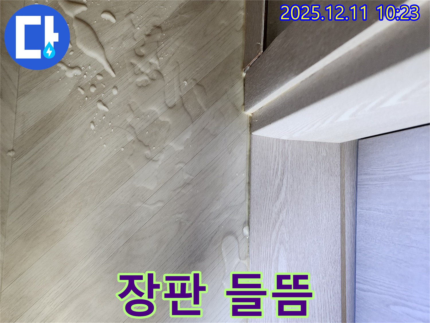 영중면 누수 - 장판 들뜸, 층간 누수 의심