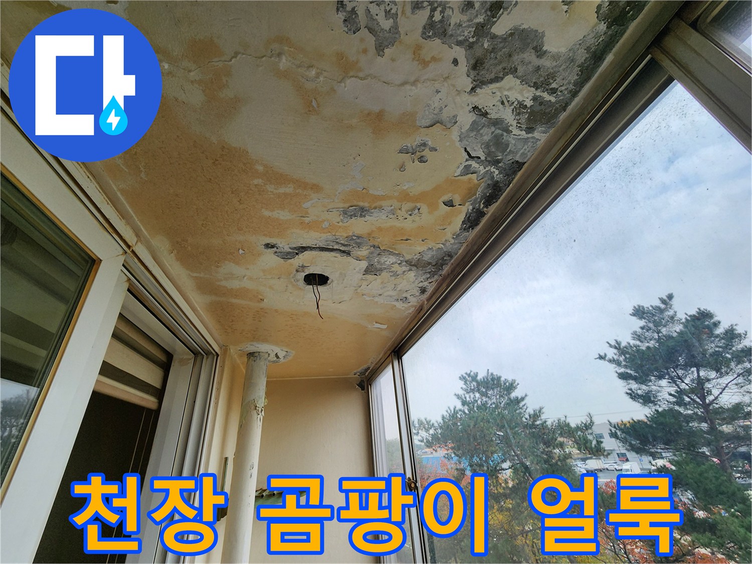 오염된-베란다-천장의-상세-모습