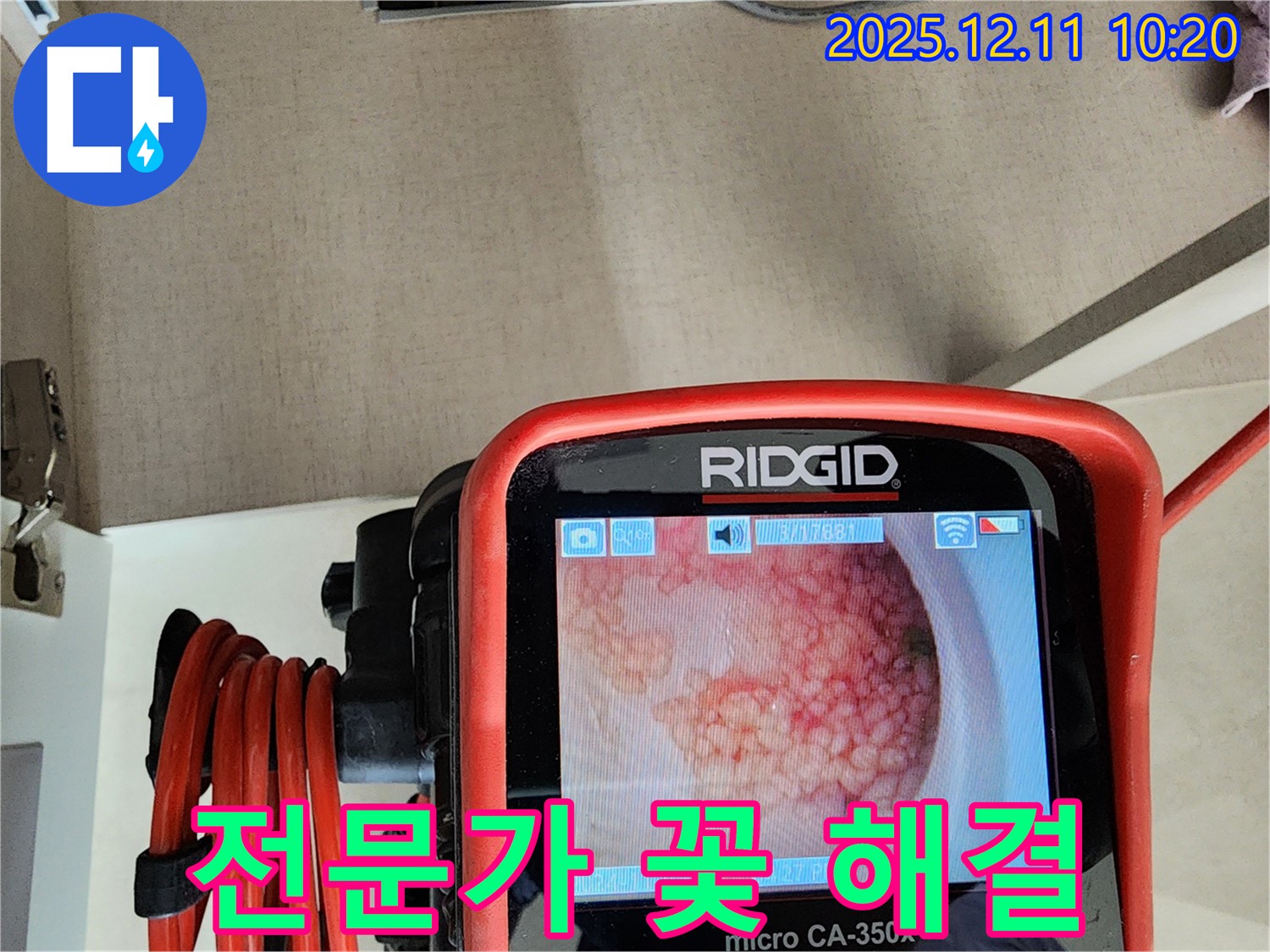 전문가 꽃 해결 - 비교불가 기술력