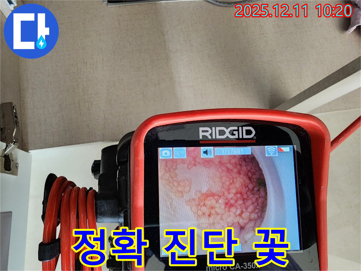 정확 진단 꽃 - 비용 절감