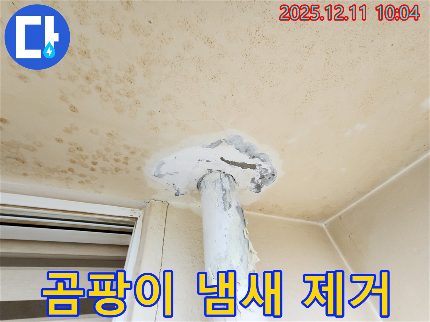 천장 곰팡이 - 냄새 제거! 쾌적한 공간으로!