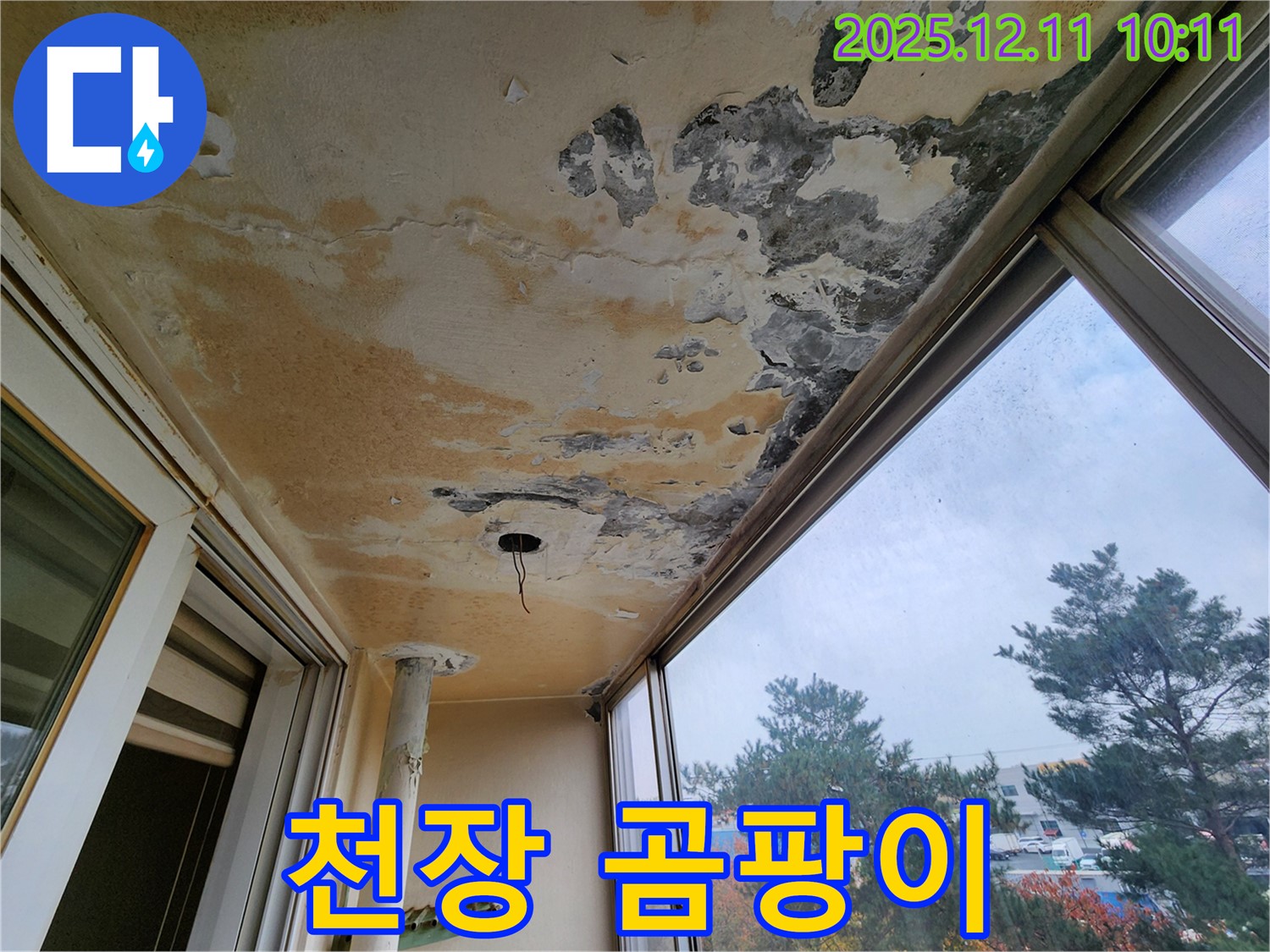 천장 곰팡이 - 누수로 인한 곰팡이 발생과 오염