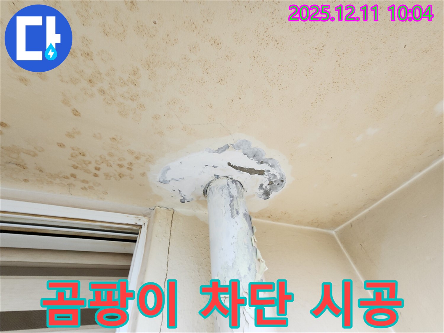 천장 곰팡이 - 완벽 차단 시공으로 재발 방지!