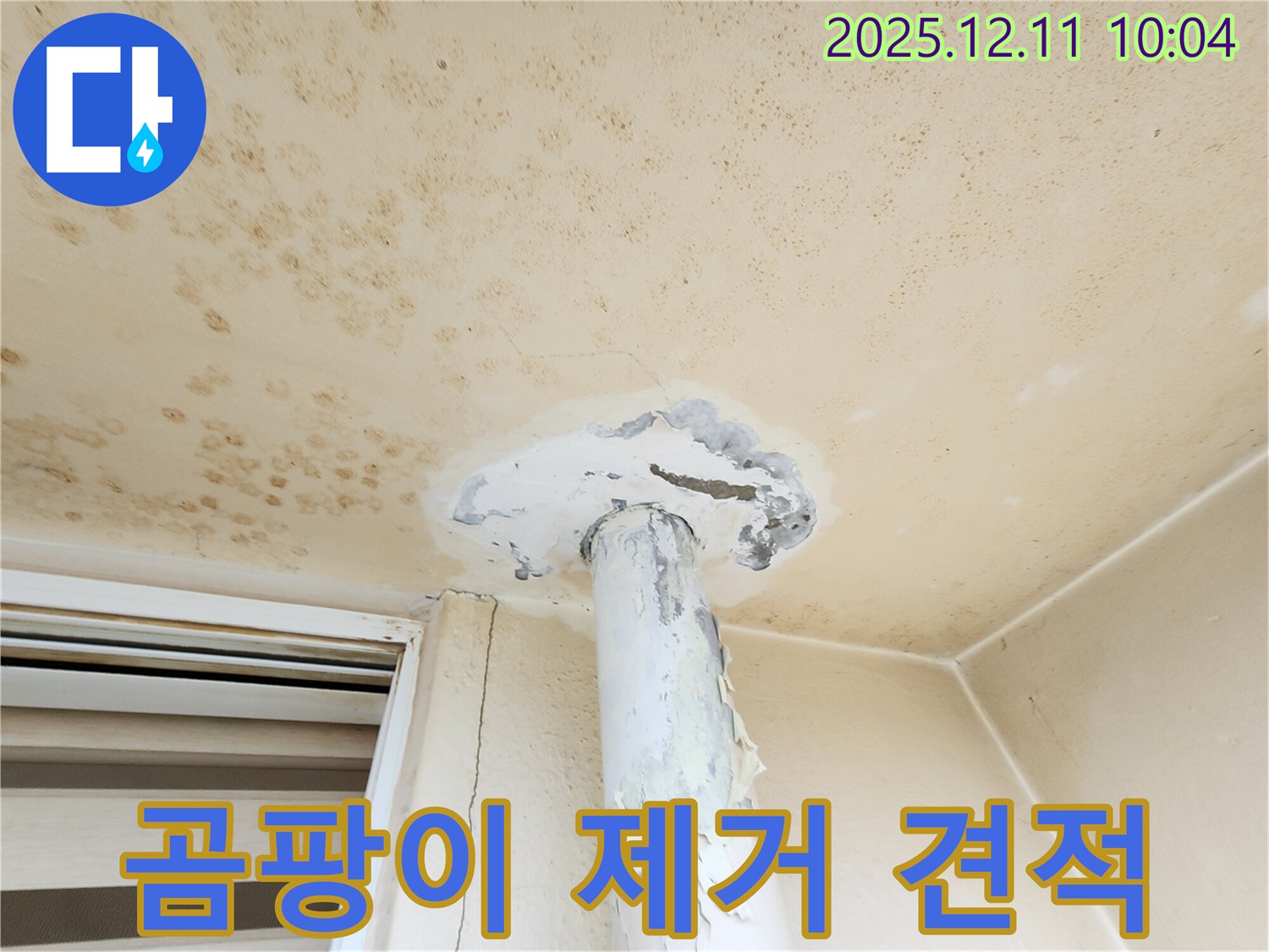 천장 곰팡이 - 제거 비용은 얼마? 합리적인 견적 제공!