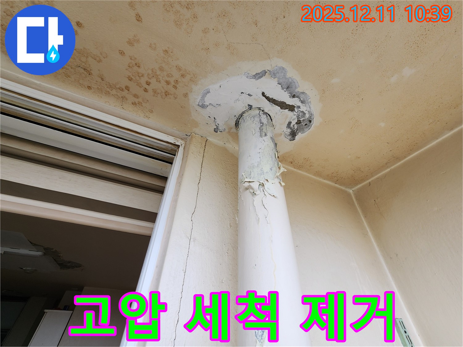 천장 누수 - 고압 세척 - 곰팡이 제거