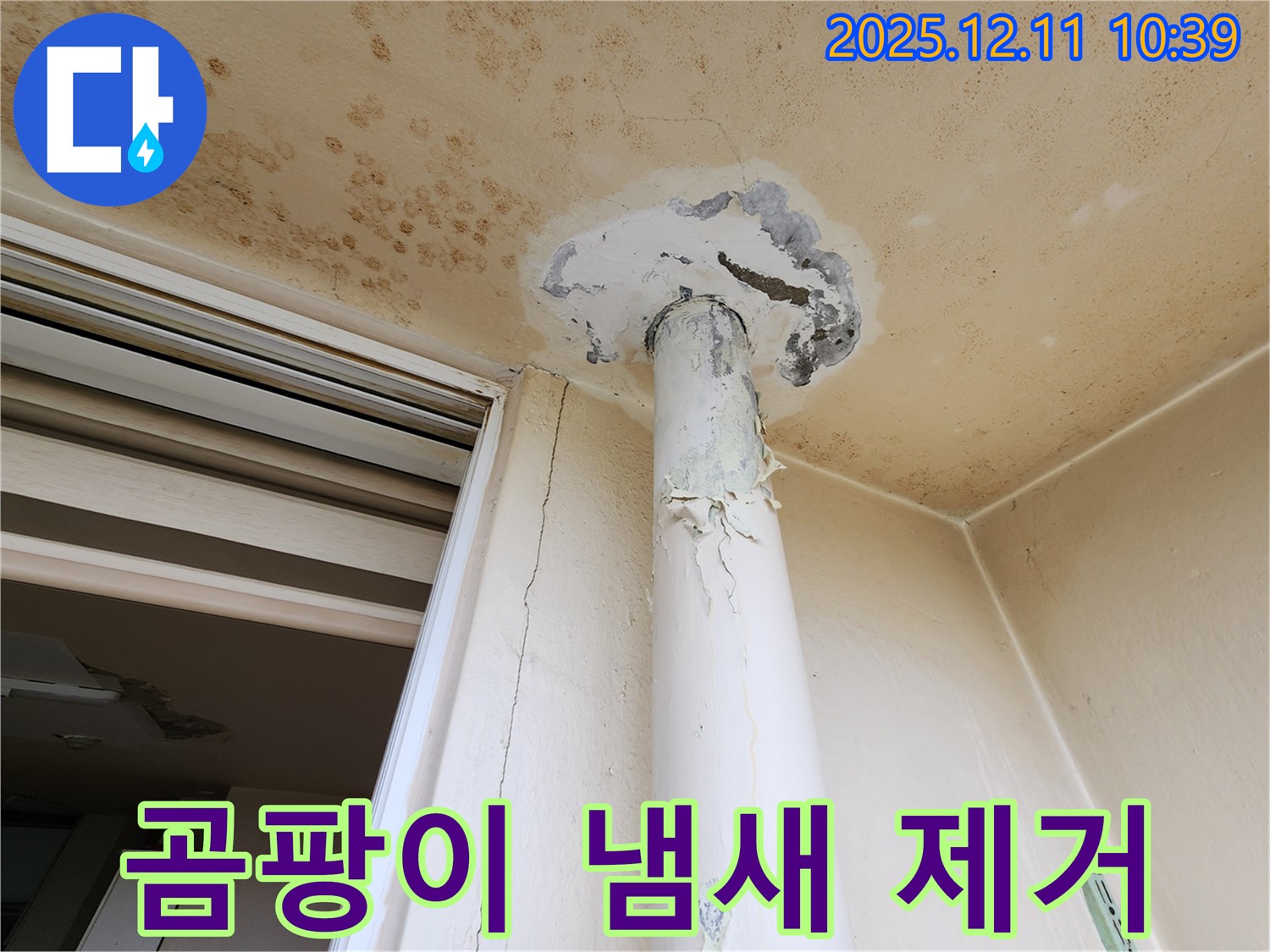 천장 누수 - 곰팡이 냄새 - 제거 시공