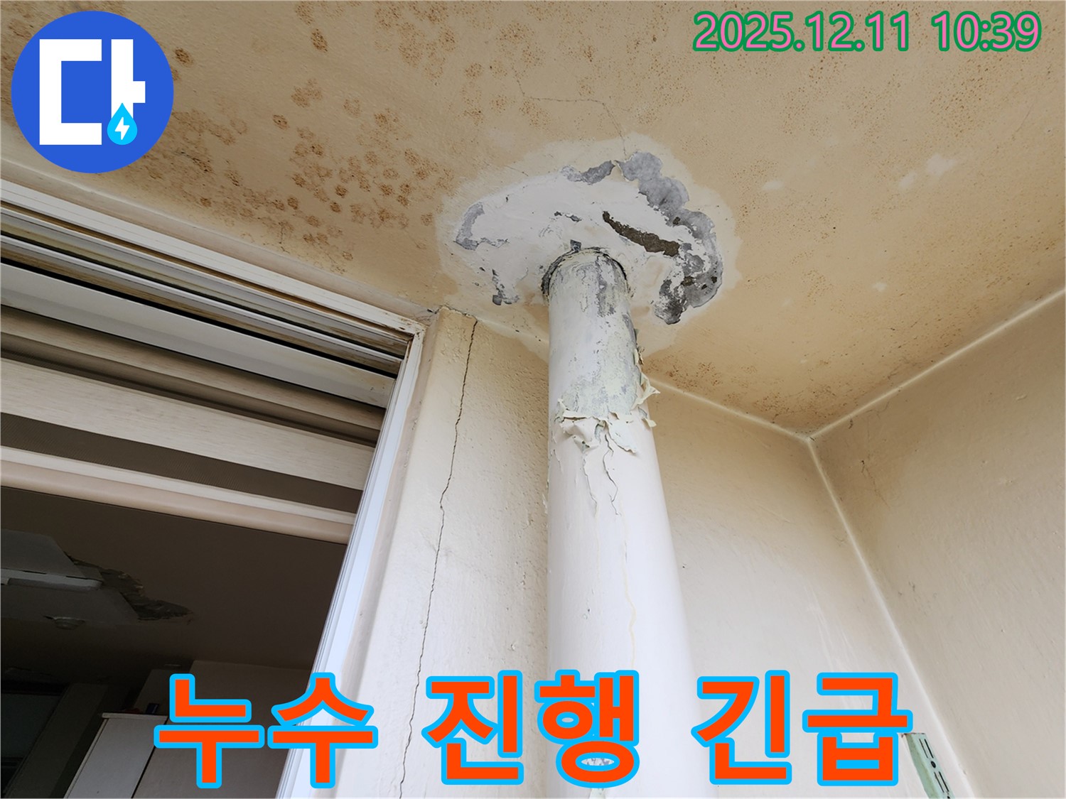 천장 누수 - 누수 진행 중 - 긴급 점검