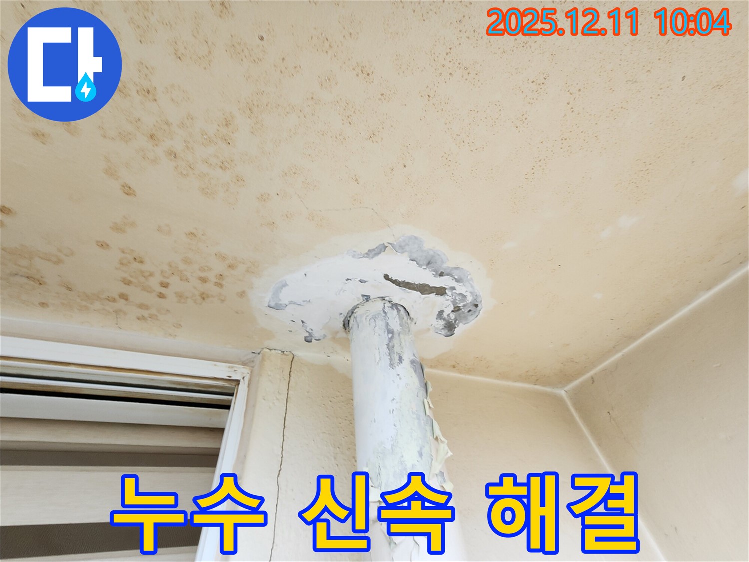 천장 누수 - 시간과의 싸움! 신속 해결 작전 개시!