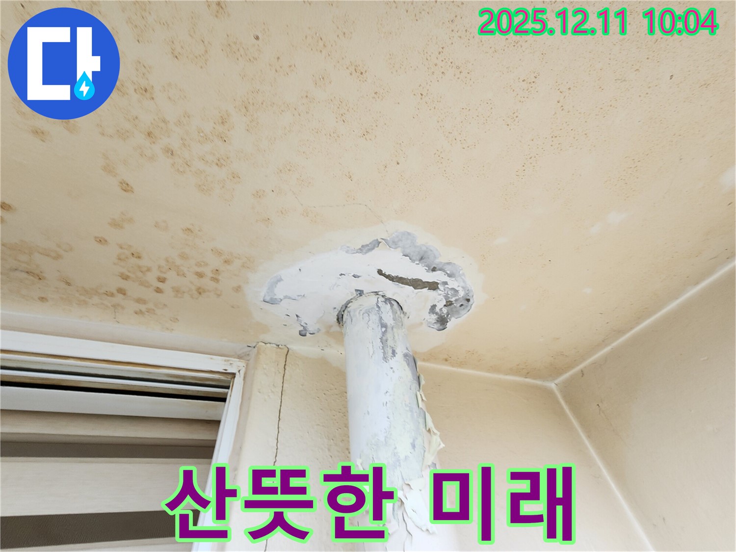천장 누수 - 찝찝한 과거는 잊고, 산뜻한 미래로!