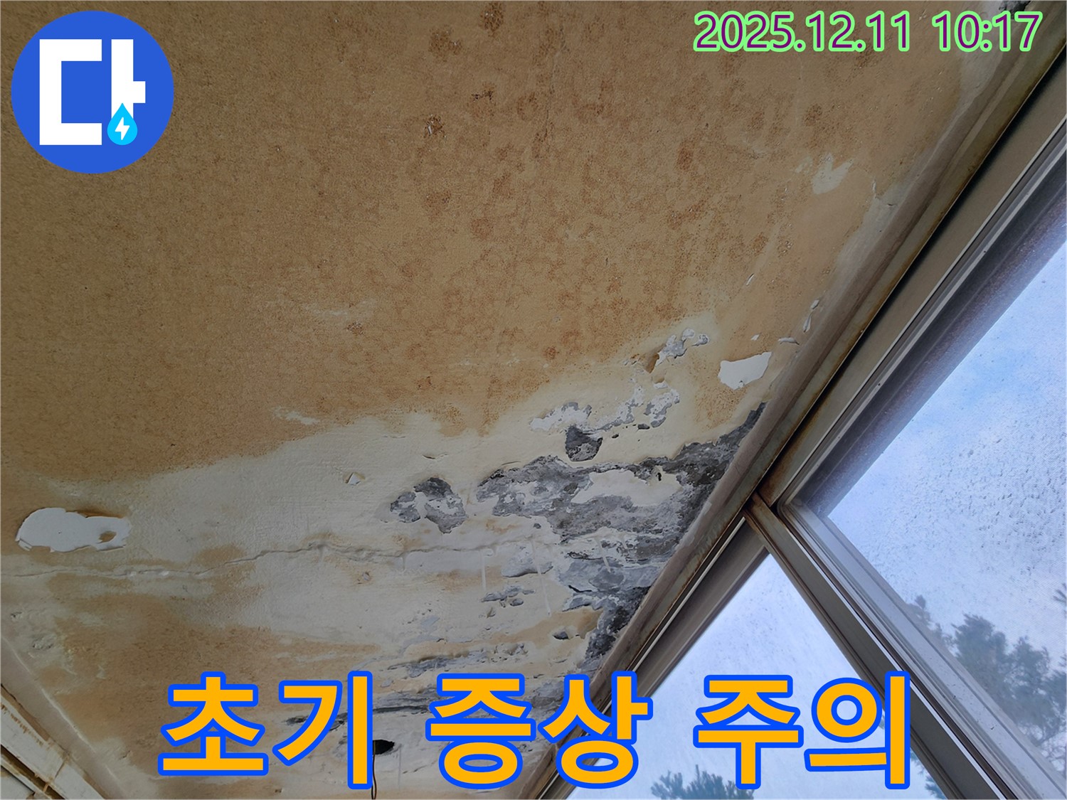 천장 누수 초기 - 작은 물방울도 주의