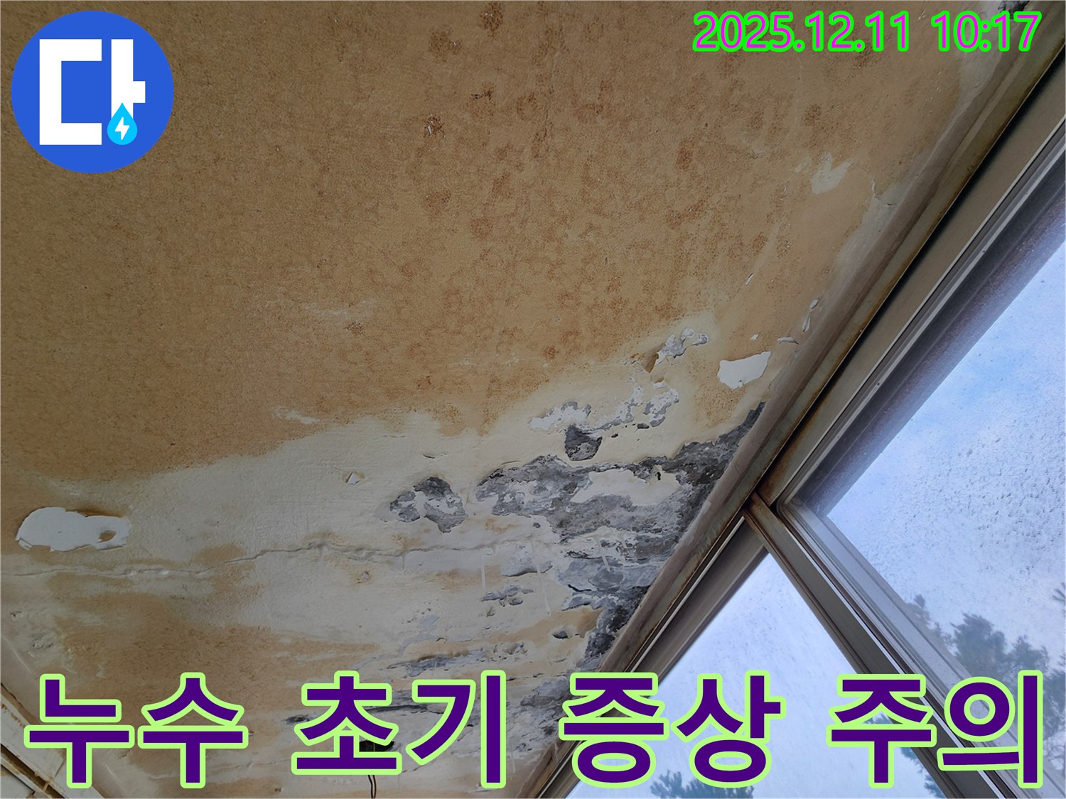 천장 누수 초기 - 작은 얼룩도 놓치지 마세요
