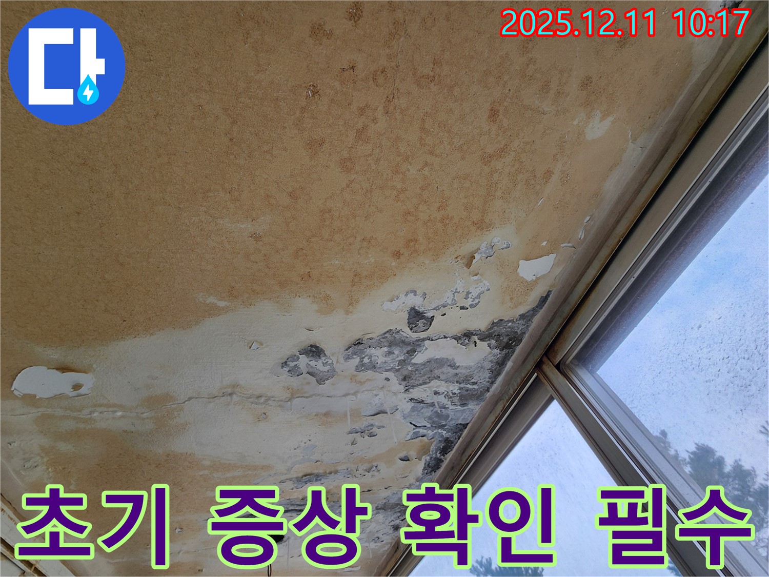 천장 누수 초기 - 작은 얼룩도 주의