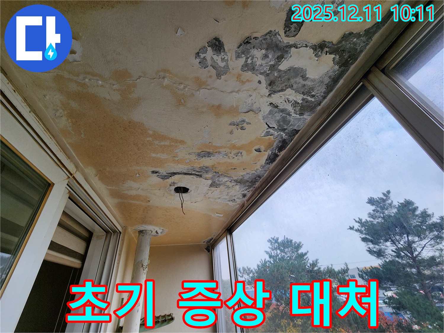 초기 증상 - 빠른 대처 - 피해 최소
