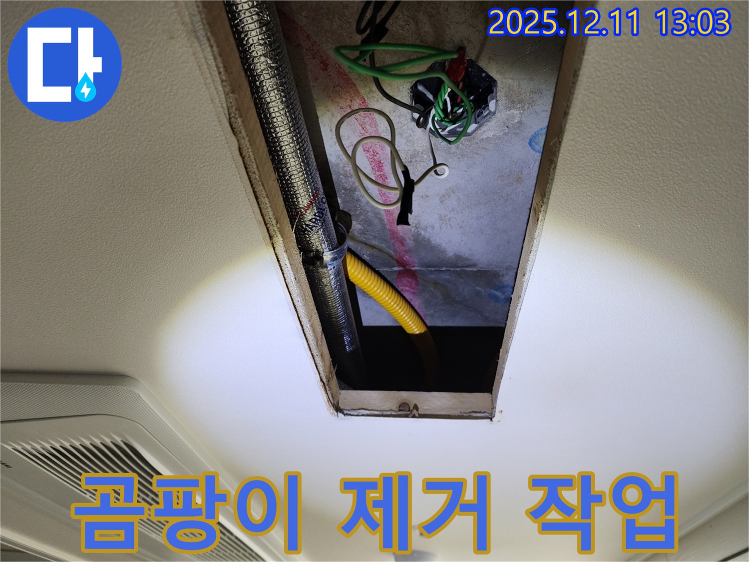 점검구 주변 곰팡이 - 깨끗하게 제거