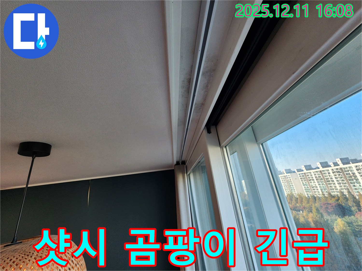 샷시 곰팡이 - 긴급 해결 - 영중면