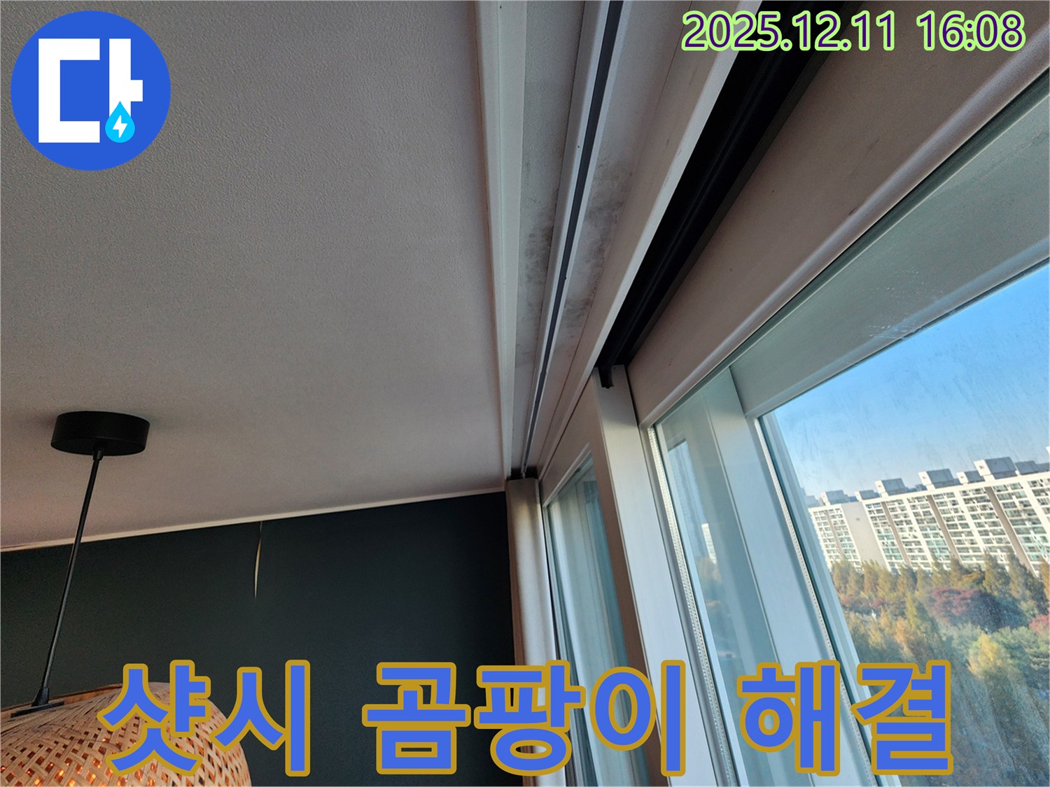 샷시 곰팡이 - 확실한 해결 - 남궁리