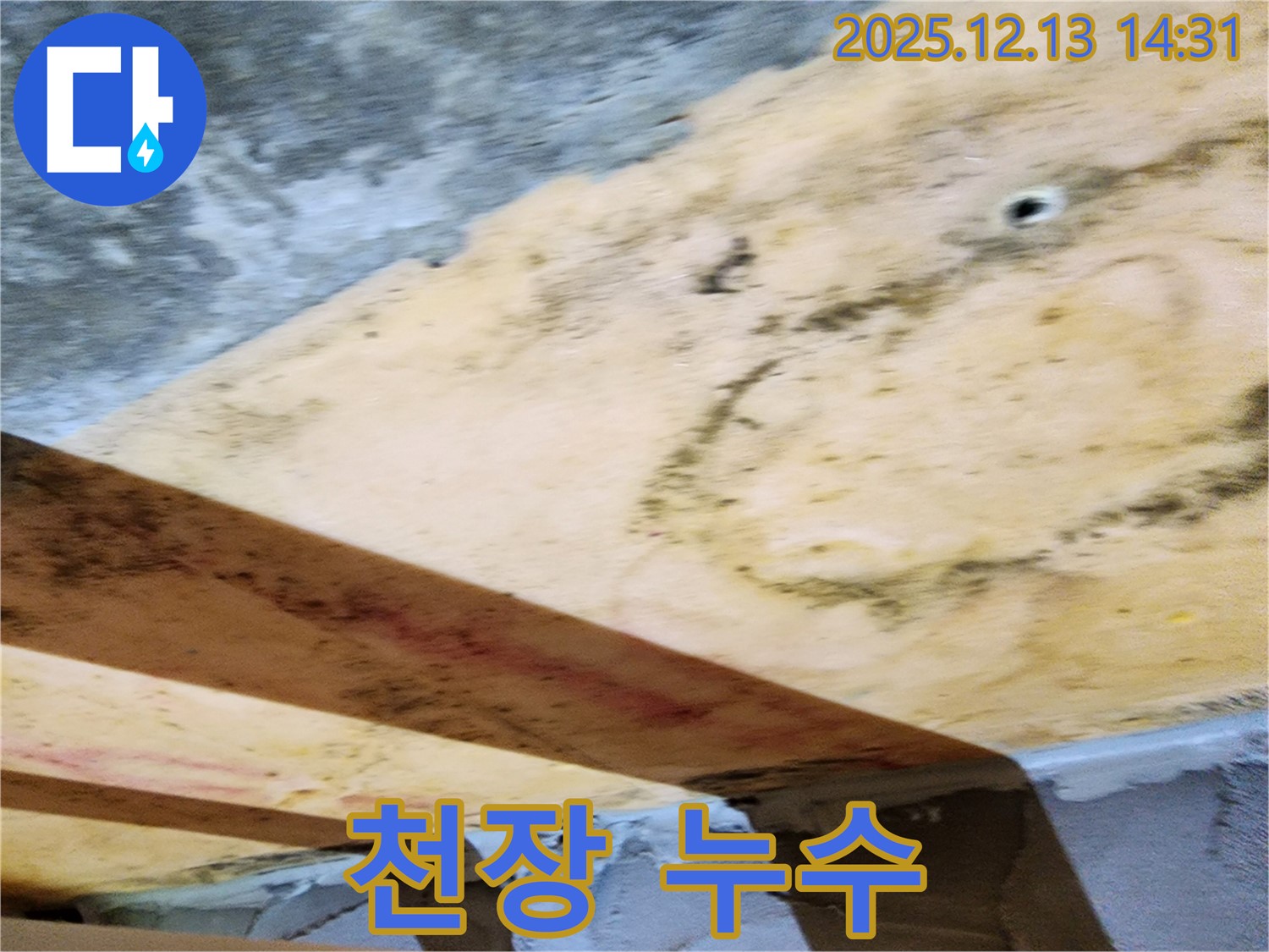 천장 누수 - 곰팡이와 물 자국으로 인한 피해