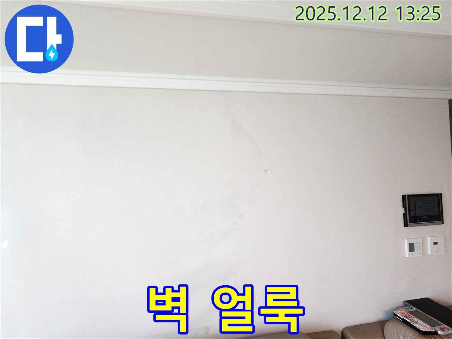 벽 얼룩 - 누수 의심