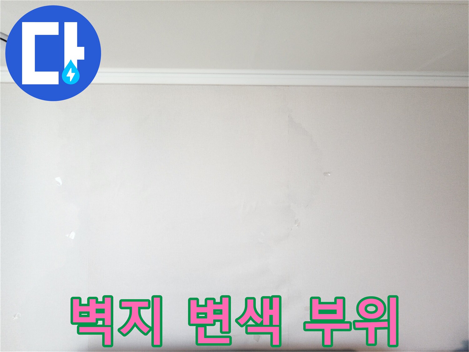 벽면의 젖은 부위를 근접 촬영한 사진