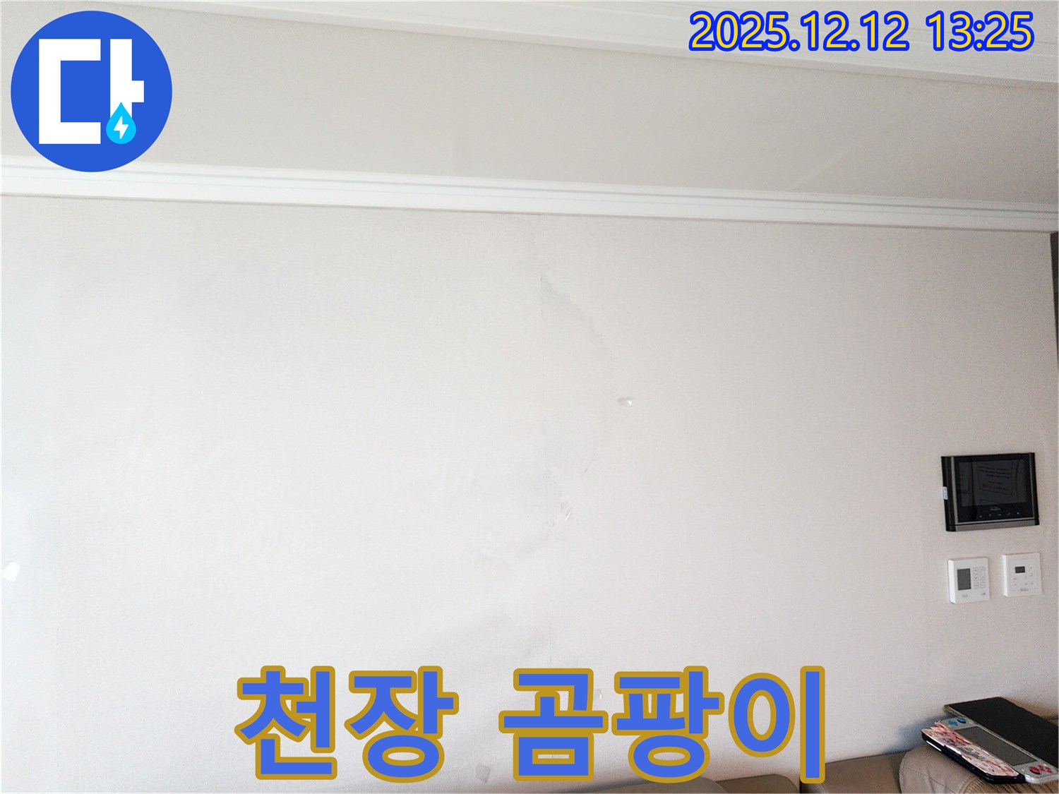 천장 곰팡이 - 누수 원인 제거