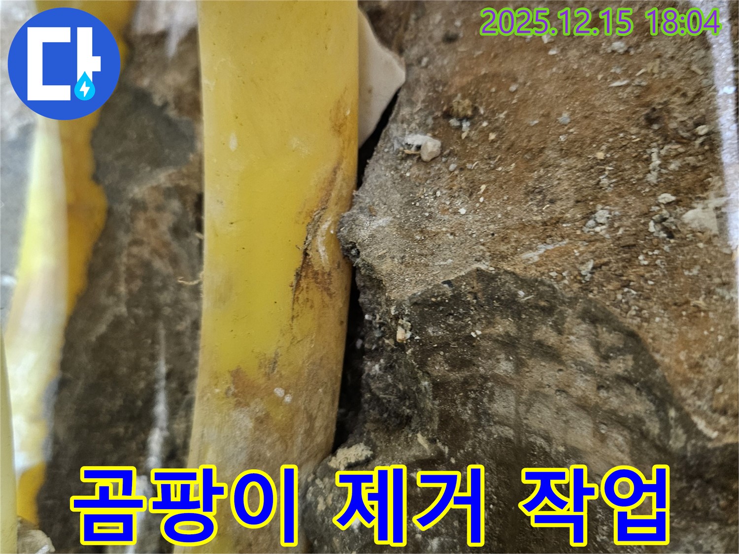 장안동 래미안장안2차 아파트 - 누수 부위 주변 곰팡이 제거로 쾌적한 환경 조성