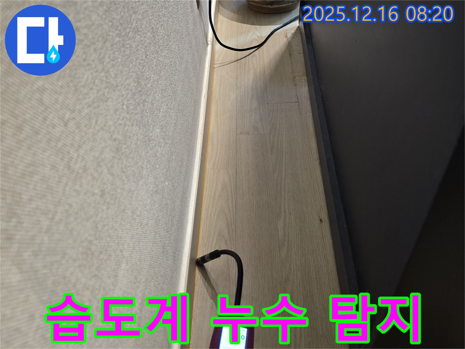 핀 타입 습도계 이용한 누수 탐지 - 정밀하고 꼼꼼하게