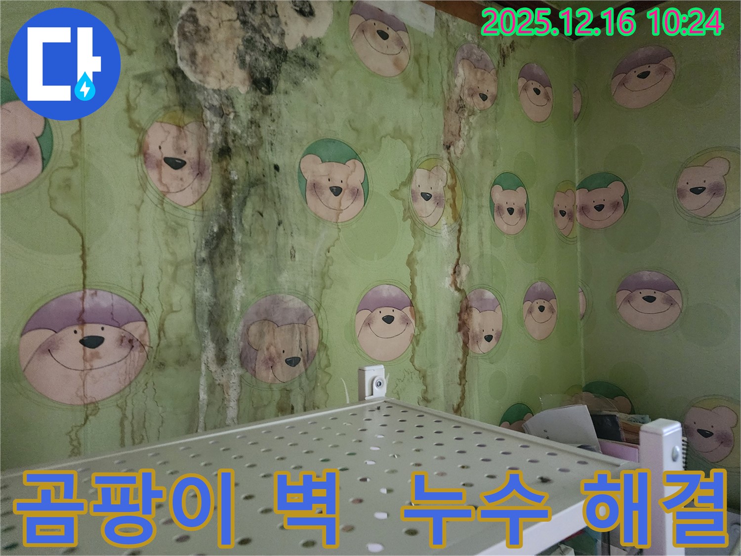 곰팡이 문제 해결 - 누수 전문가의 꼼꼼한 시공